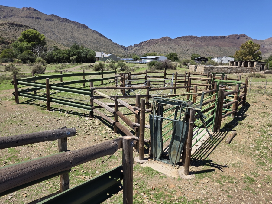 0 Bedroom Property for Sale in Middelburg Rural Eastern Cape
